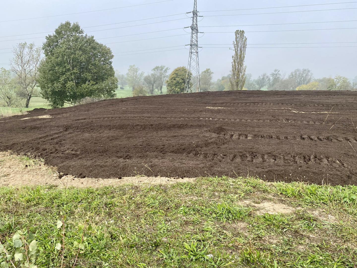 kompost razbacan po šikari u Blatu