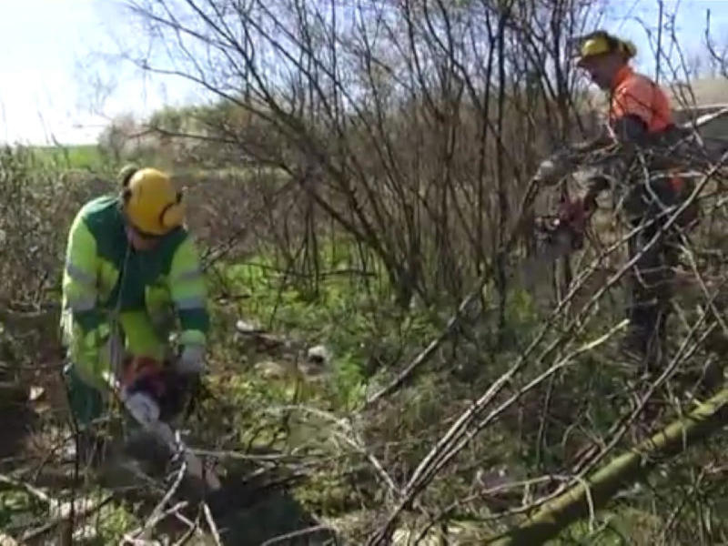 radovi na Urbanim vrtovima